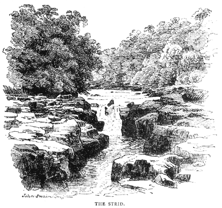 The Strid